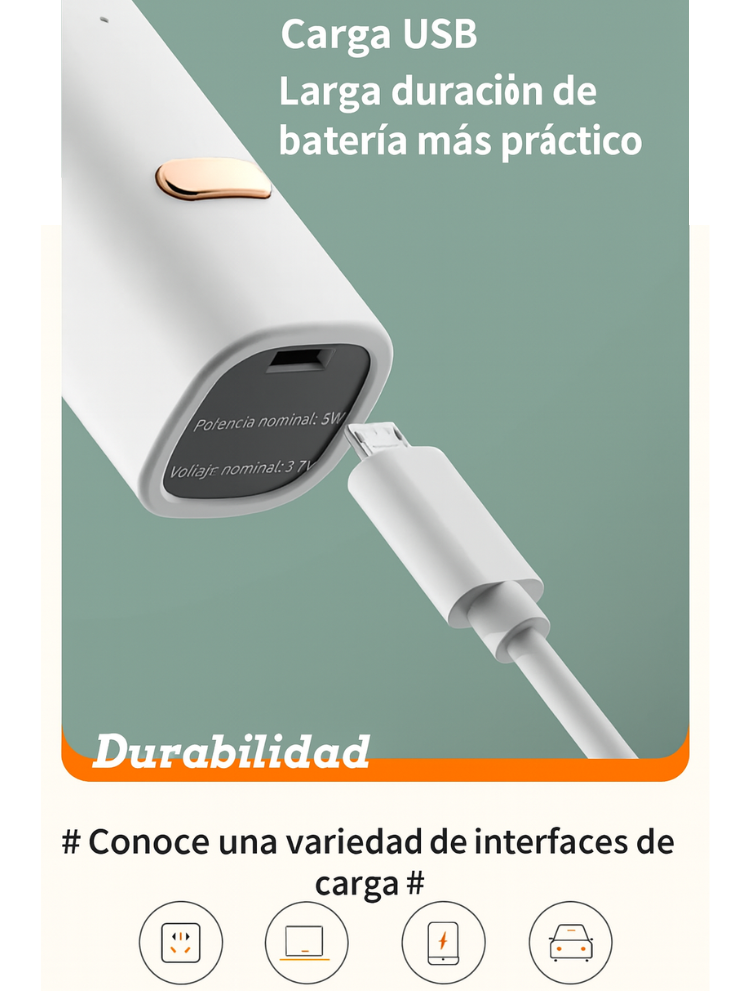 Mini Batidora Eléctrica